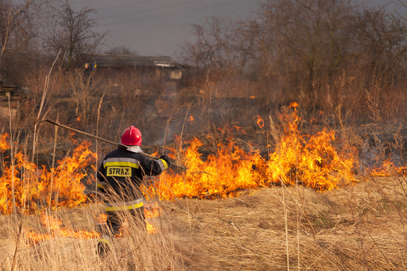 Zdjęcie przedstawia fragment działki z palącą się suchą trawą i strażaka, który podchodzi do ognia. W tle widać zabudowania.