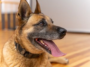 Zdjęcia przedstawiają funkcjonariuszy z komendy Powiatowej Policji w Leżajsku oraz Ratowników Wolontariuszy podczas wydarzenia "Twoje bezpieczeństwo zależy od Ciebie".