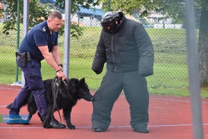 Pokaz tresury psa z SOK w trakcie atakowania agresora
