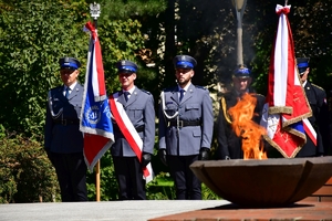 Uczestnicy obchodów Święta Wojska Polskiego w Rzeszowie podczas uroczystości w Parku Jedności Polonii z Macierzą.