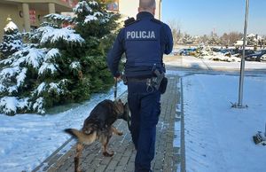 Policjant i owczarek niemiecki idą chodnikiem wzdłuż budynku