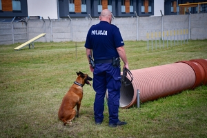 Policyjny pies podczas szkolenia na placu