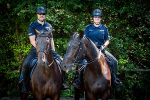umundurowana policjantka i policjant w KWP Rzeszów na koniach