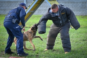 Policyjni przewodnicy z psami służbowymi podczas atestacji na terenie Oddziału Prewencji Policji w Rzeszowie.