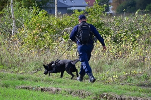 Policyjni przewodnicy z psami służbowymi podczas atestacji na terenie Oddziału Prewencji Policji w Rzeszowie.