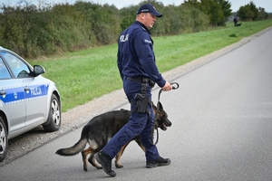 Policyjni przewodnicy z psami służbowymi podczas atestacji na terenie Oddziału Prewencji Policji w Rzeszowie.