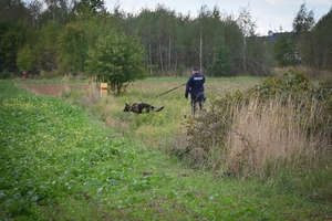 Policyjni przewodnicy z psami służbowymi podczas atestacji na terenie Oddziału Prewencji Policji w Rzeszowie.