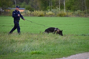 Policyjni przewodnicy z psami służbowymi podczas atestacji na terenie Oddziału Prewencji Policji w Rzeszowie.