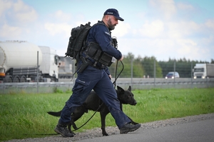 Policyjni przewodnicy z psami służbowymi podczas atestacji na terenie Oddziału Prewencji Policji w Rzeszowie.