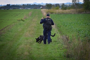 Policyjni przewodnicy z psami służbowymi podczas atestacji na terenie Oddziału Prewencji Policji w Rzeszowie.