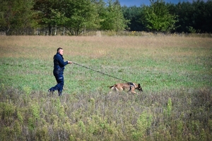 Policyjni przewodnicy z psami służbowymi podczas atestacji na terenie Oddziału Prewencji Policji w Rzeszowie.