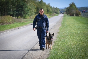 Policyjni przewodnicy z psami służbowymi podczas atestacji na terenie Oddziału Prewencji Policji w Rzeszowie.