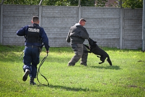 Policyjni przewodnicy z psami służbowymi podczas atestacji na terenie Oddziału Prewencji Policji w Rzeszowie.