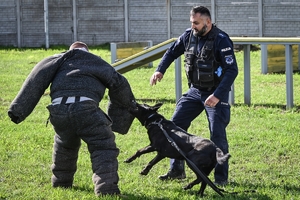 Policyjni przewodnicy z psami służbowymi podczas atestacji na terenie Oddziału Prewencji Policji w Rzeszowie.