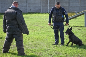 Policyjni przewodnicy z psami służbowymi podczas atestacji na terenie Oddziału Prewencji Policji w Rzeszowie.