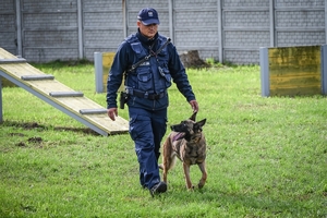 Policyjni przewodnicy z psami służbowymi podczas atestacji na terenie Oddziału Prewencji Policji w Rzeszowie.