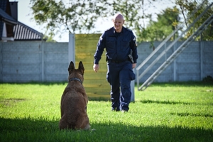 Policyjni przewodnicy z psami służbowymi podczas atestacji na terenie Oddziału Prewencji Policji w Rzeszowie.