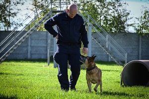 Policyjni przewodnicy z psami służbowymi podczas atestacji na terenie Oddziału Prewencji Policji w Rzeszowie.