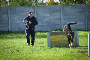 Policyjni przewodnicy z psami służbowymi podczas atestacji na terenie Oddziału Prewencji Policji w Rzeszowie.