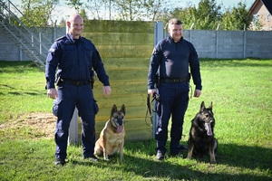 Policyjni przewodnicy z psami służbowymi podczas atestacji na terenie Oddziału Prewencji Policji w Rzeszowie.