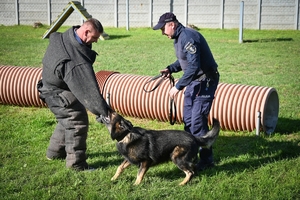 Policyjni przewodnicy z psami służbowymi podczas atestacji na terenie Oddziału Prewencji Policji w Rzeszowie.