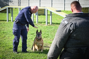 Policyjni przewodnicy z psami służbowymi podczas atestacji na terenie Oddziału Prewencji Policji w Rzeszowie.