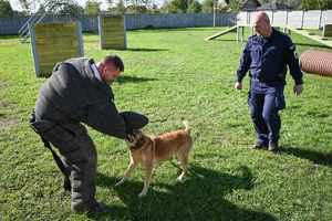 Policyjni przewodnicy z psami służbowymi podczas atestacji na terenie Oddziału Prewencji Policji w Rzeszowie.