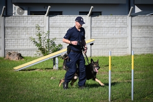 Policyjni przewodnicy z psami służbowymi podczas atestacji na terenie Oddziału Prewencji Policji w Rzeszowie.