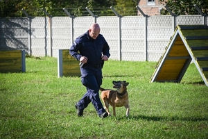 Policyjni przewodnicy z psami służbowymi podczas atestacji na terenie Oddziału Prewencji Policji w Rzeszowie.