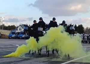 Policjant na koniu, szkolenie