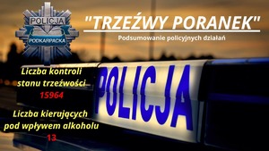 Belka policyjnego radiowozu z napisem policja, trzeźwy poranek