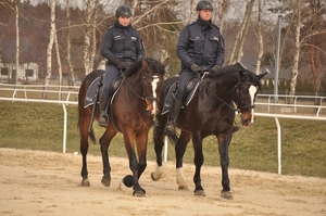 Policyjni jeźdźcy na koniach podczas atestacji.