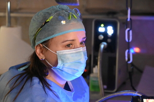 Policjantki i kobiety w służbie cywilnej