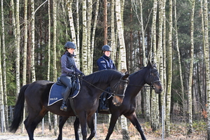 Policjantki i kobiety w służbie cywilnej