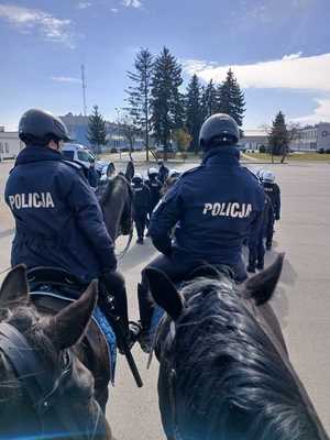 Policyjni jeźdźcy podczas szkolenia z funkcjonariuszami Oddziału Prewencji Policji w Rzeszowie