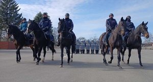 Policyjni jeźdźcy podczas szkolenia z funkcjonariuszami Oddziału Prewencji Policji w Rzeszowie