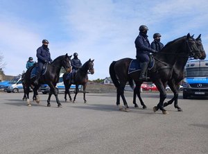 Policyjni jeźdźcy podczas szkolenia z funkcjonariuszami Oddziału Prewencji Policji w Rzeszowie