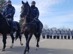 Policyjni jeźdźcy podczas szkolenia z funkcjonariuszami Oddziału Prewencji Policji w Rzeszowie