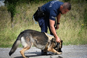 Policjanci i psy służbowe podczas wojewódzkich eliminacji do XXII Kynologicznych Mistrzostw Policji
