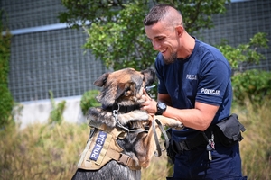 Policjanci i psy służbowe podczas wojewódzkich eliminacji do XXII Kynologicznych Mistrzostw Policji