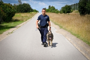 Policjanci i psy służbowe podczas wojewódzkich eliminacji do XXII Kynologicznych Mistrzostw Policji