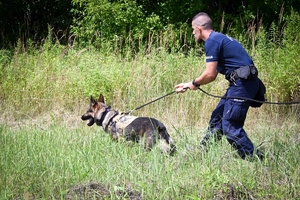 Policjanci i psy służbowe podczas wojewódzkich eliminacji do XXII Kynologicznych Mistrzostw Policji