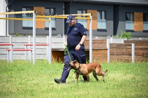 Policjanci i psy służbowe podczas wojewódzkich eliminacji do XXII Kynologicznych Mistrzostw Policji