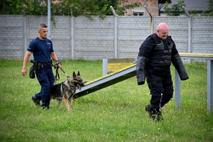 Policjanci i psy służbowe podczas wojewódzkich eliminacji do XXII Kynologicznych Mistrzostw Policji
