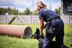 Policjanci i psy służbowe podczas wojewódzkich eliminacji do XXII Kynologicznych Mistrzostw Policji