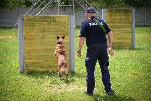 Policjanci i psy służbowe podczas wojewódzkich eliminacji do XXII Kynologicznych Mistrzostw Policji