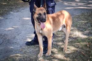 Policjant z psem służbowym