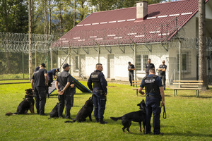 umundurowany policjant z psem służbowym