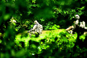 Policjanci podczas szkolenia