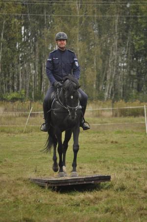 Egzamin policyjnych wierzchowców